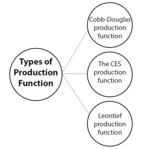 3 Types of Production Function