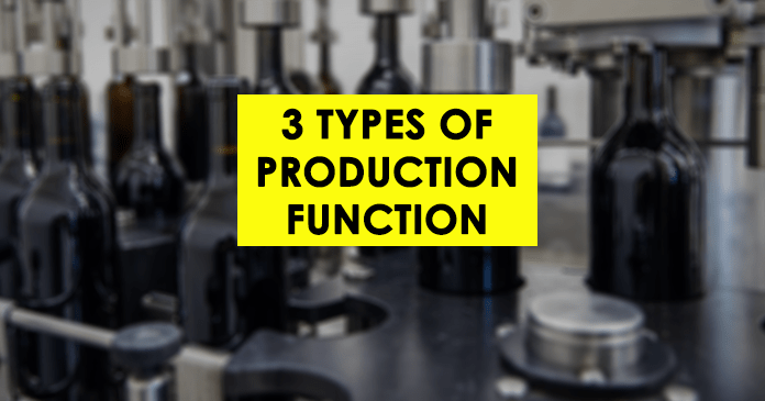 3 Types of Production Function