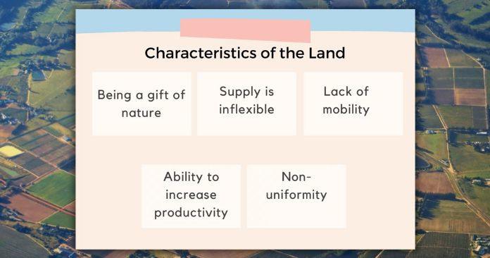 Characteristics of the land 