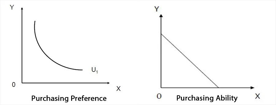 Consumer equilibrium: consumer preference and ability
