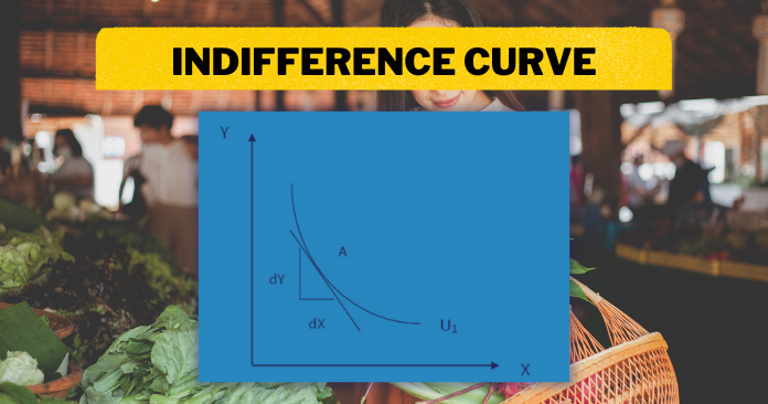 What is Indifference Curve: Definition