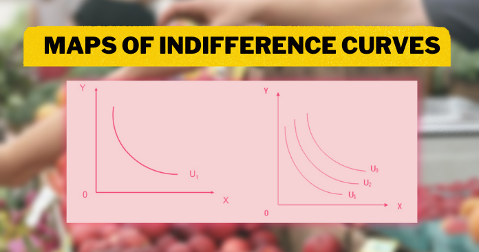 What is Indifference Curve