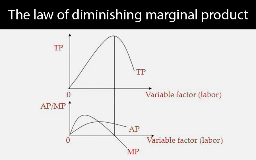 The law of diminishing marginal product