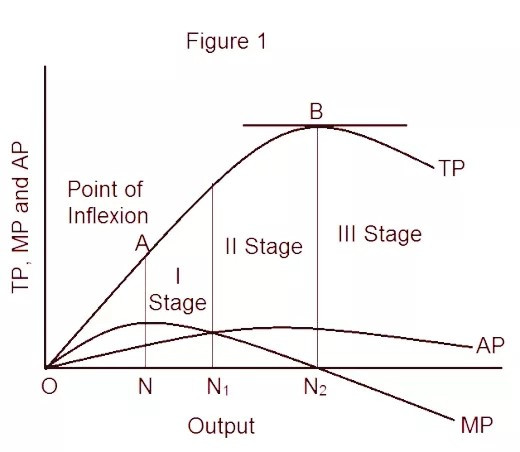 Three stages of Production