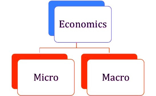 Introduction to Economics: Types of Economics
